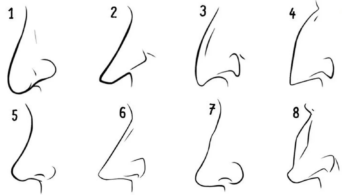 Как рисовать нос